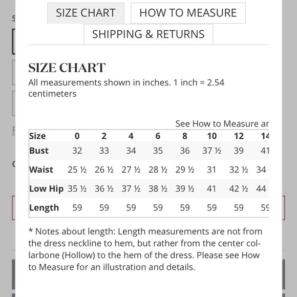 David’s Bridal Long Bridesmaid/Prom Dress - Picture 6 of 6